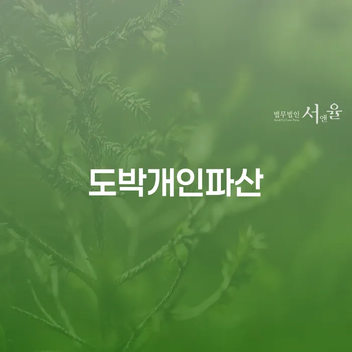 카드론연체 신용회복 살펴보세요