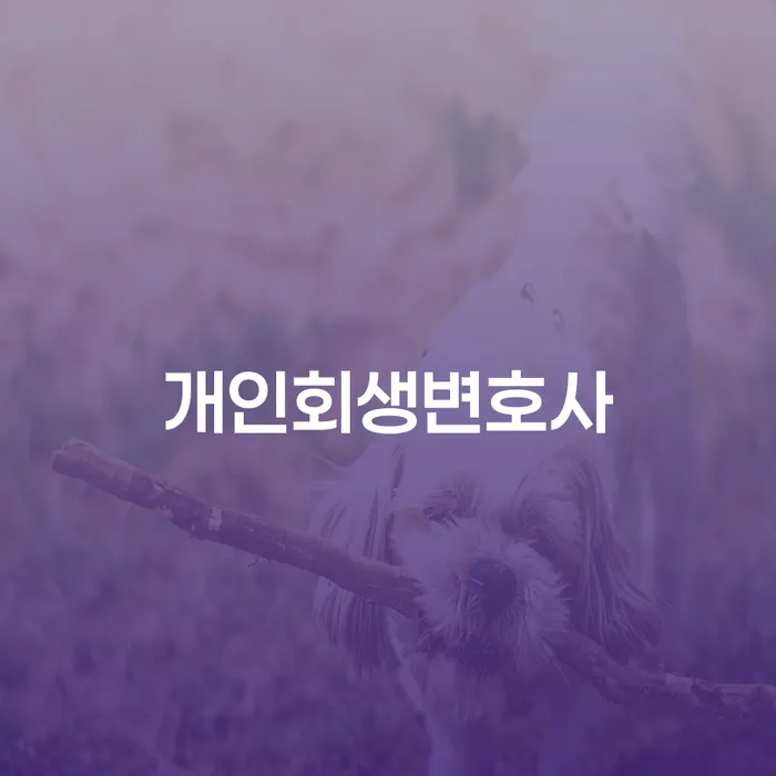 재파산 개인회생으로 현명하게 잘 하는 곳