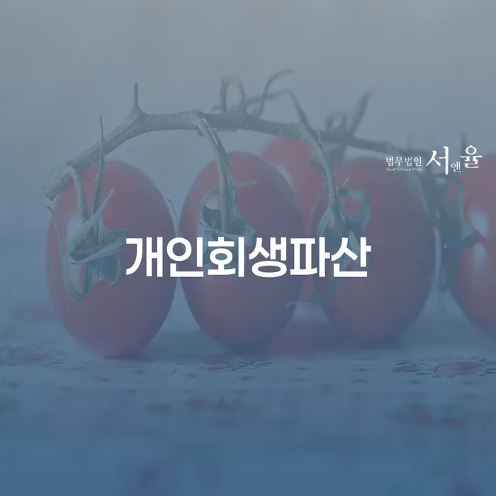 빚청산하기 개인회생으로 방법 문제를 해결