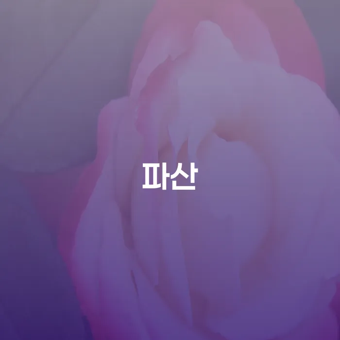 빚독촉 대출 연체 개인회생 잘하는 사무소