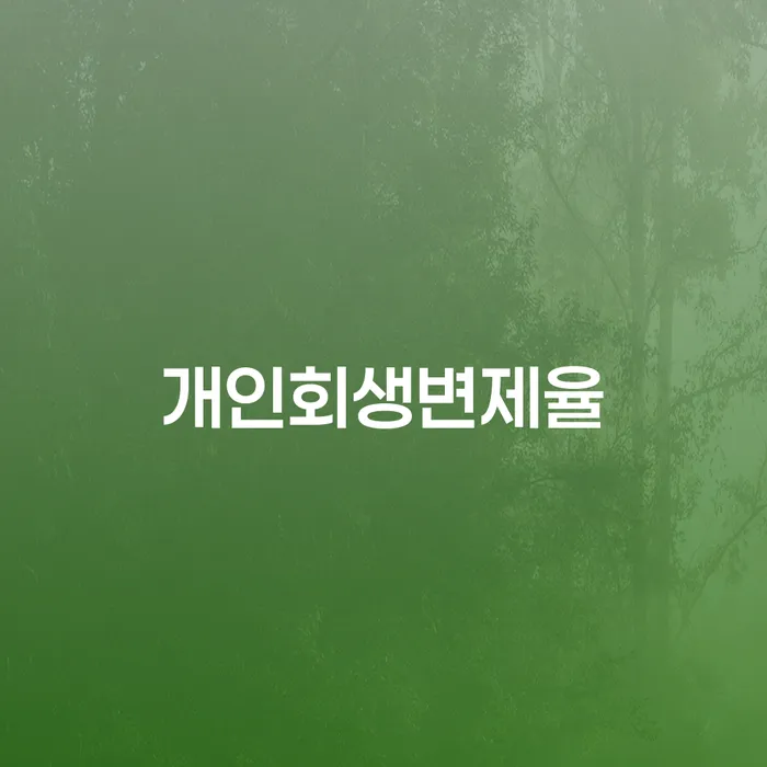 국세파산 개인회생 제도 꿀팁