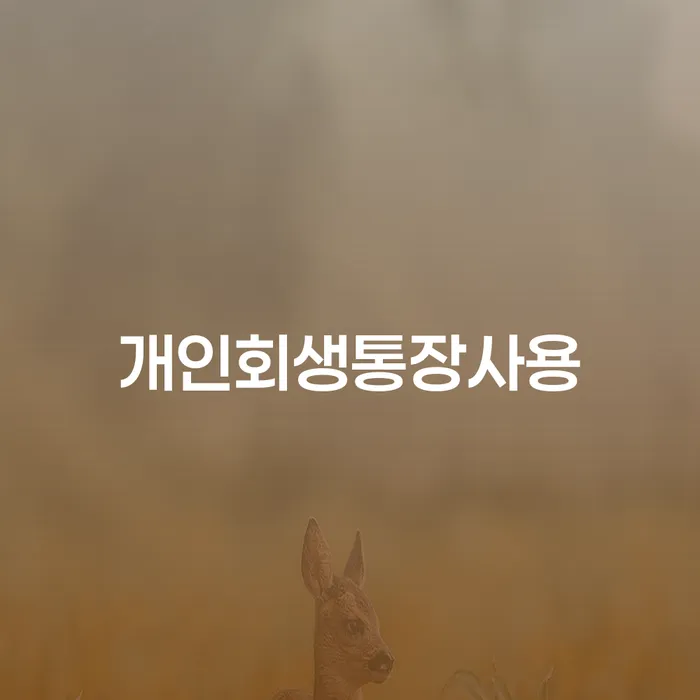 개인회생렌트카 개인파산 알아보는 꿀 팁!
