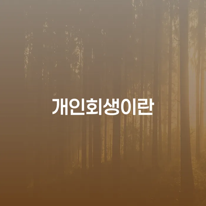 개인회생조건 채무조정제도을 이용하여 해결 방법 알려드려요.