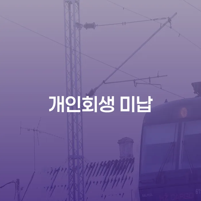 제주특별자치도 3번째개인회생 개인회생,개인파산으로 어떤걸