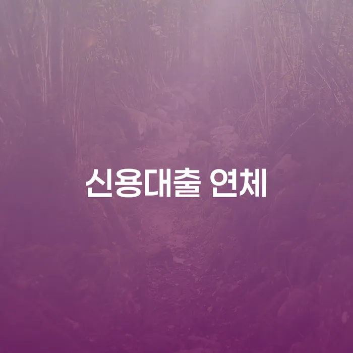 구례군 개인회생법무법인 카드빚 연체 선택을 어떻게..