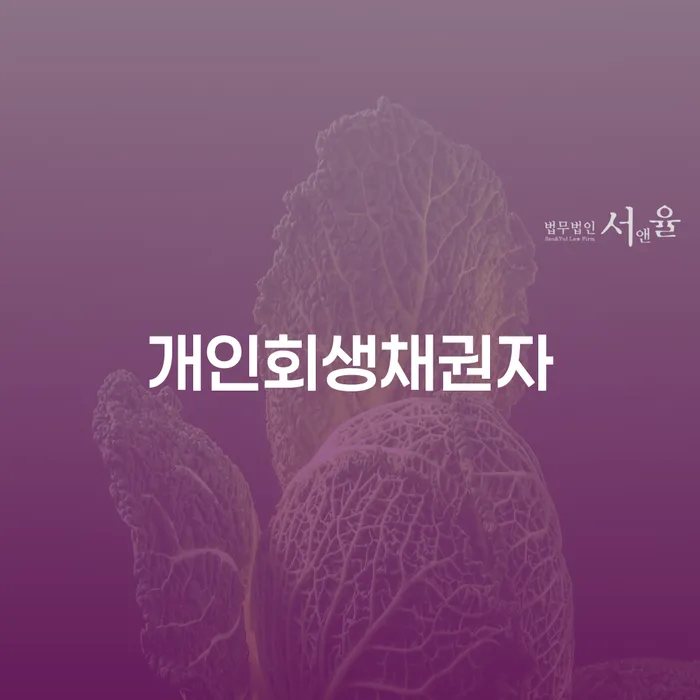 대전광역시 청년개인회생 개인회생으로 해결방법 확실한 진행