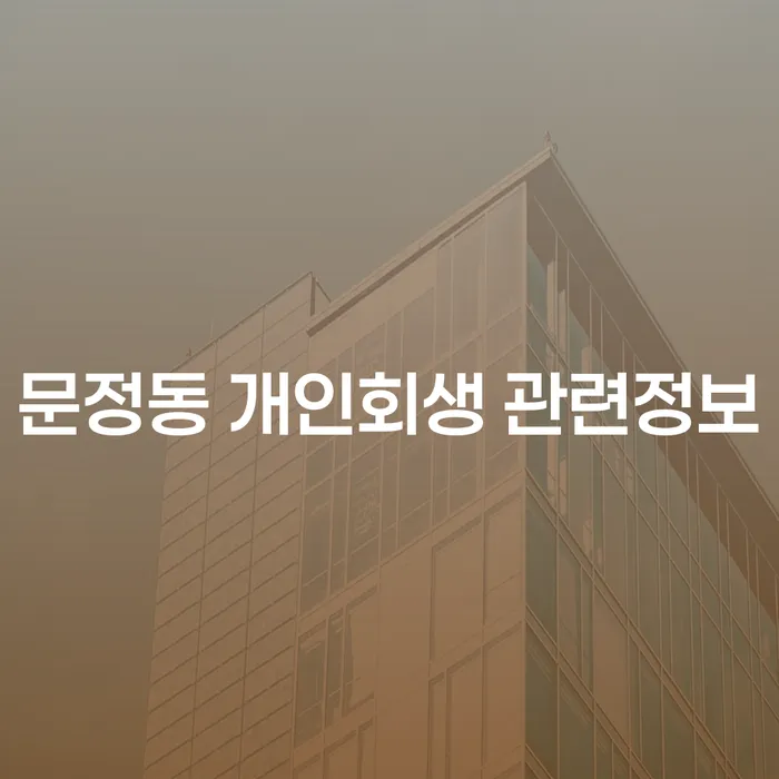 문정동 개인회생 관련정보