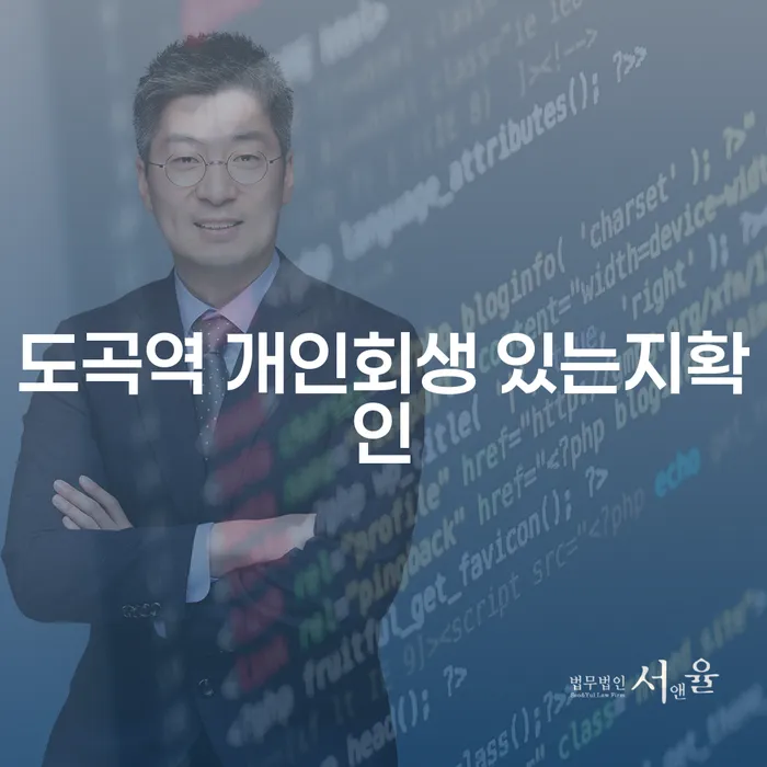 도곡역 개인회생 있는지확인