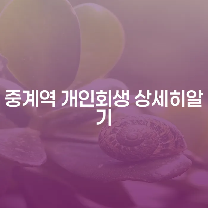 중계역 개인회생 상세히알기