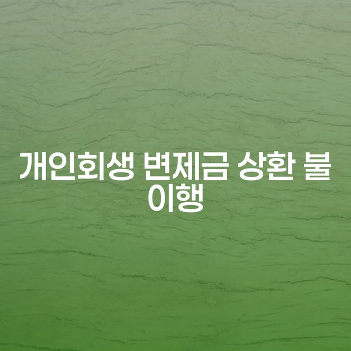 개인회생 변제금 상환 불이행, 어떻게 해결할 수 있을까요?
