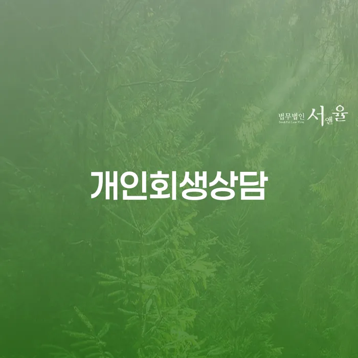 명동 개인회생 상담의 중요성과 절차