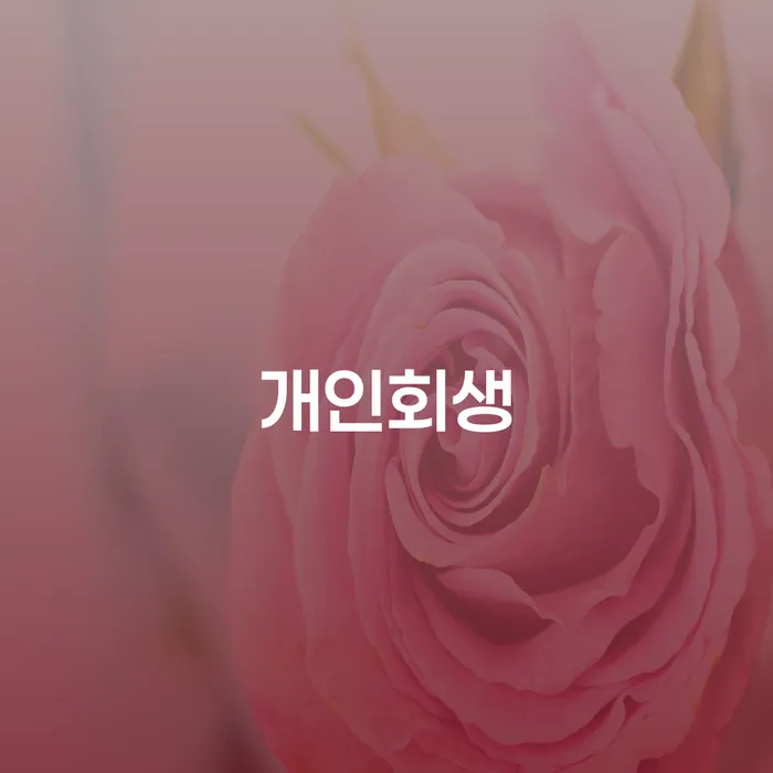 풍납1동 개인회생 절차와 실제 사례