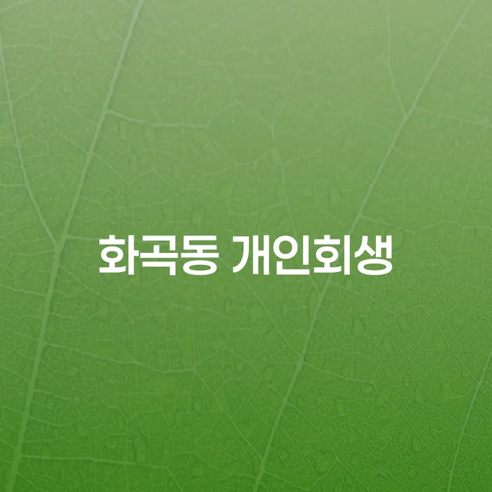 화곡동 개인회생, 새로운 시작을 위한 지혜로운 선택은?