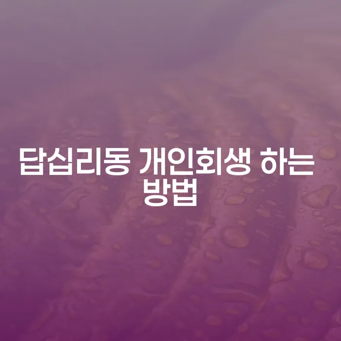 답십리동 개인회생을 어떻게 시작해야 할까요?