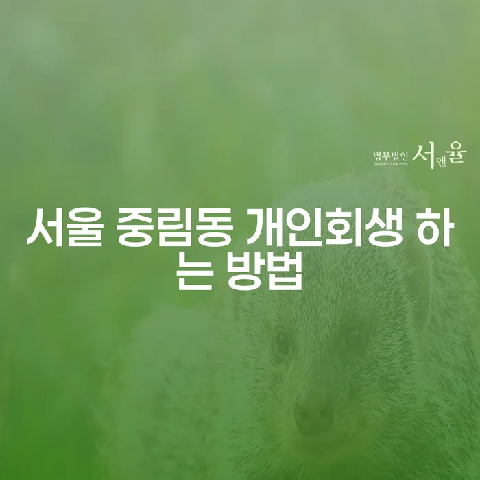 서울 중림동에서 개인회생을 신청하는 방법은 무엇인가요?