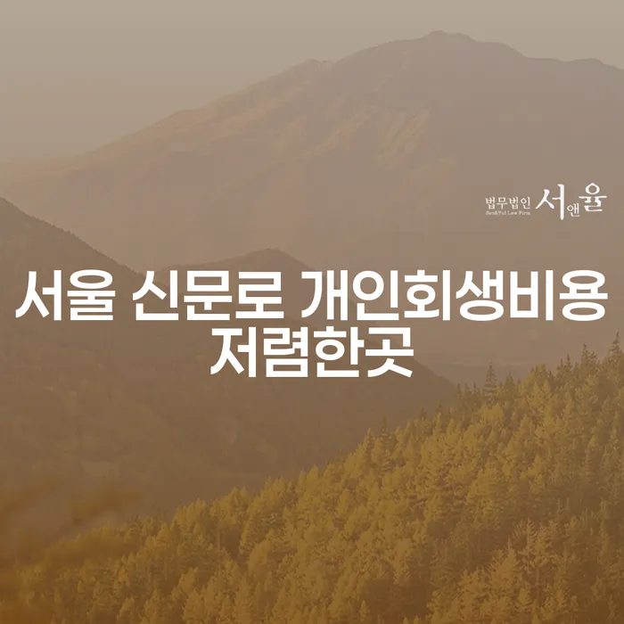 서울 신문로에서 개인회생 비용을 저렴하게 해결할 수 있는 방법은 무엇일까요?