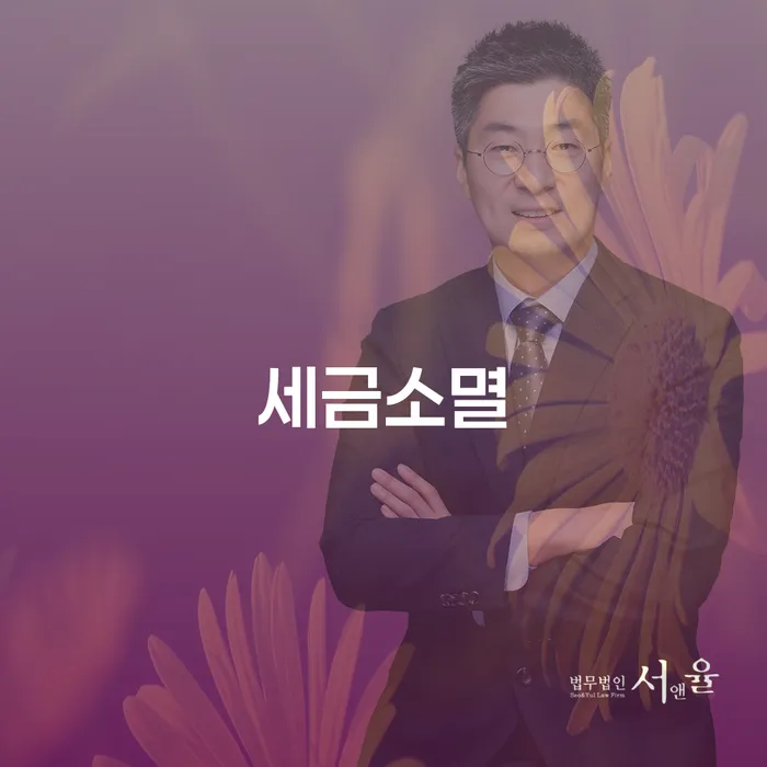 세금소멸과 개인회생 비용 저렴한 곳, 어떻게 해결할 수 있을까요?