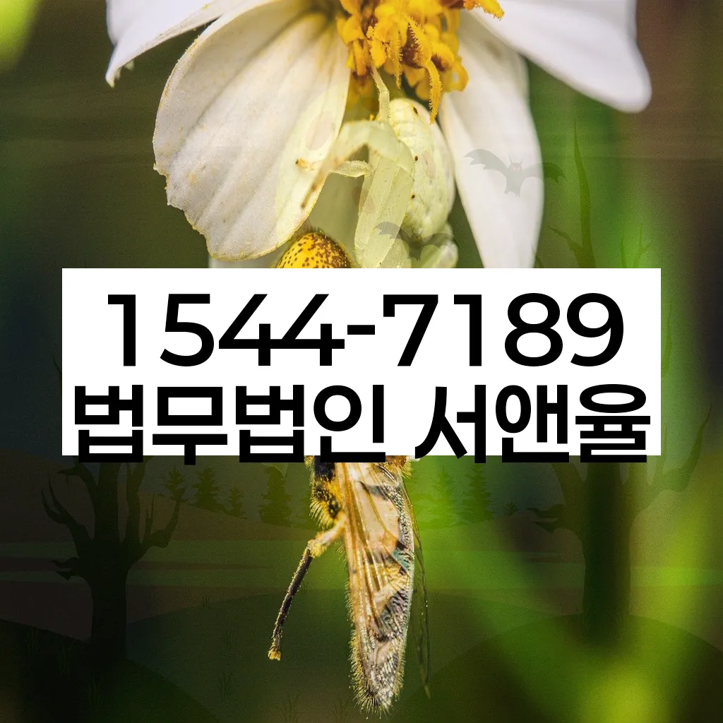 개인회생 성공 사례 이미지